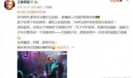 李华皮肤爆料视频最新版,揭秘最新版游戏角色造型与技能