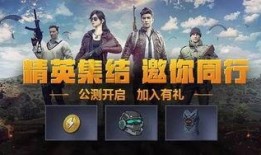 和平精英小瓜爆料视频,揭秘游戏新内容与更新亮点